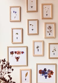 Image 2 of Herbarium