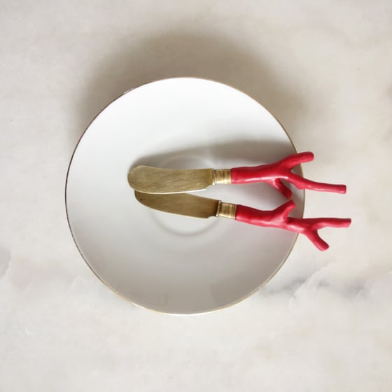 Image of Duo de petits couteaux tartineurs manche corail