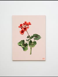 Image 1 of Geranium I