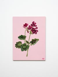 Image 1 of Geranium II