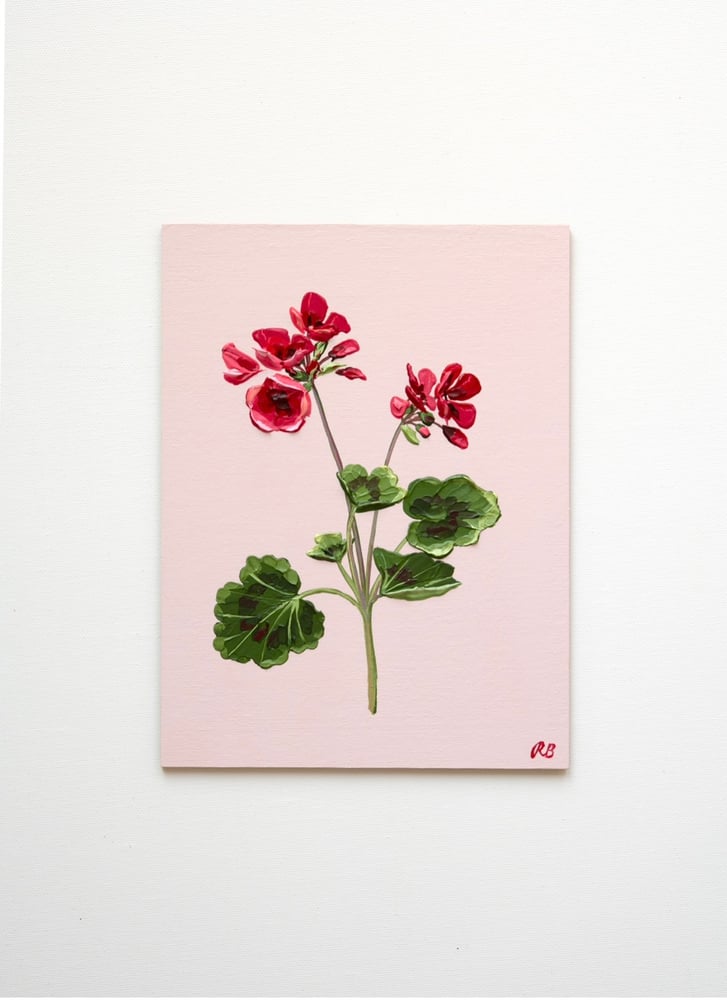 Image of Geranium IV