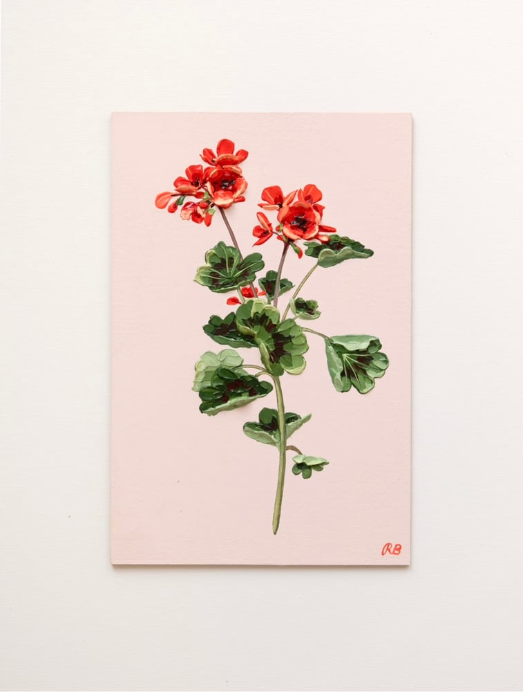 Image of Geranium VI