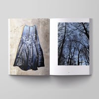 Image 4 of 'The Art of Susan Unger' book + Tassar silk animal foulard with ombre fringe (425)
