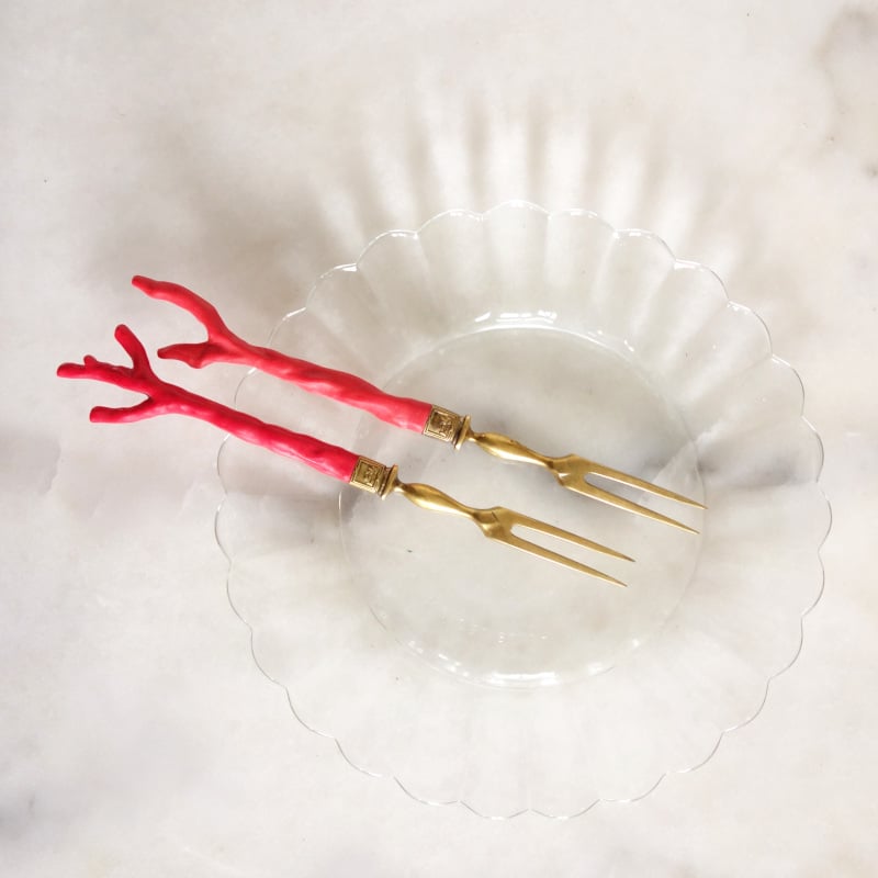 Image of Duo de fouchettes manche corail