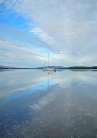 Whatever floats your boat exclusive print