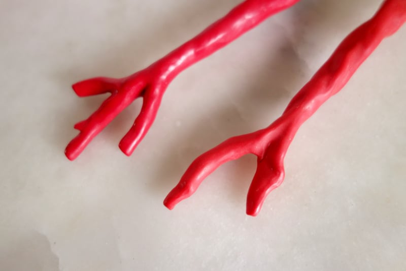 Image of Duo de fouchettes manche corail