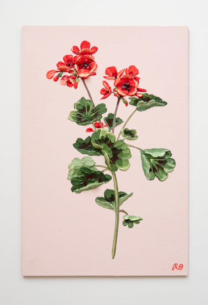 Image of Geranium VI