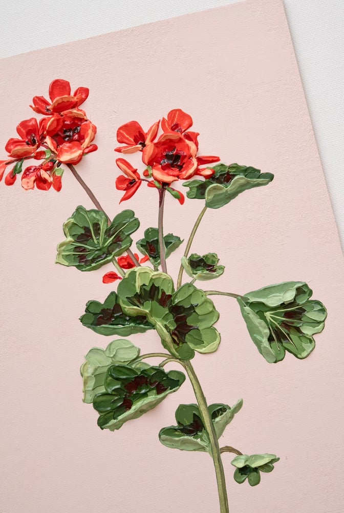 Image of Geranium VI