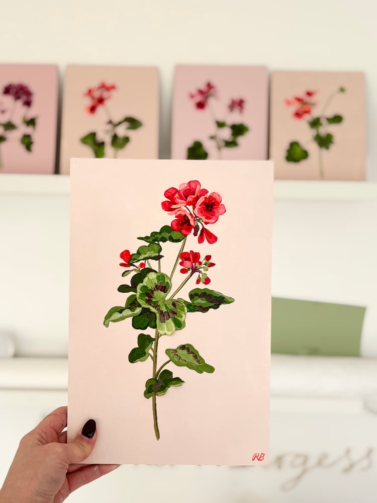 Image of Geranium V