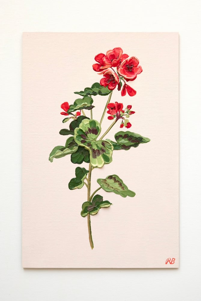 Image of Geranium V