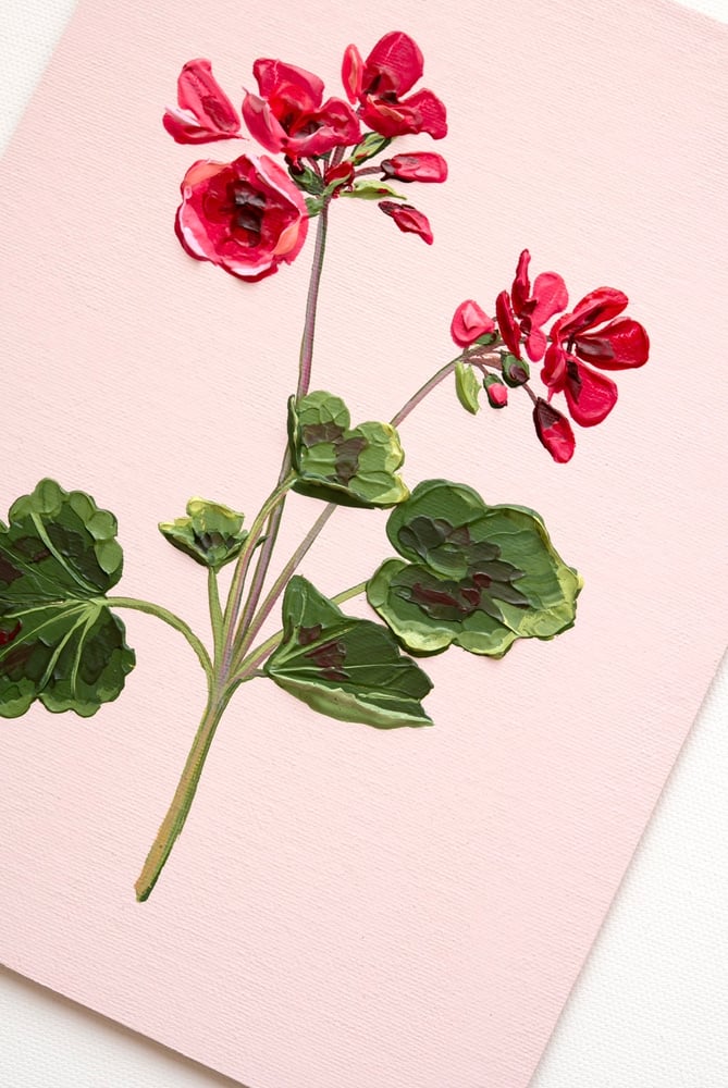 Image of Geranium IV
