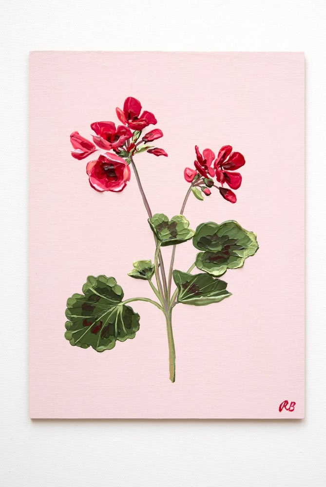 Image of Geranium IV