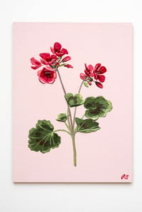 Image 2 of Geranium V