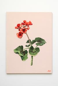 Image 2 of Geranium I