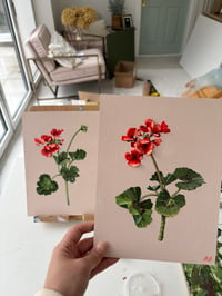 Image 4 of Geranium I