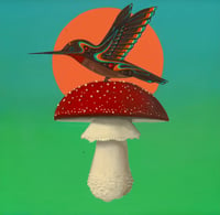 Hummingbird on Mushroom