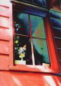 "Cottage Window" Note Card