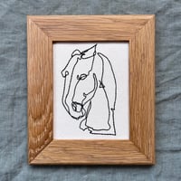 Image 1 of Kelpie