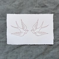 Ghost Swallows