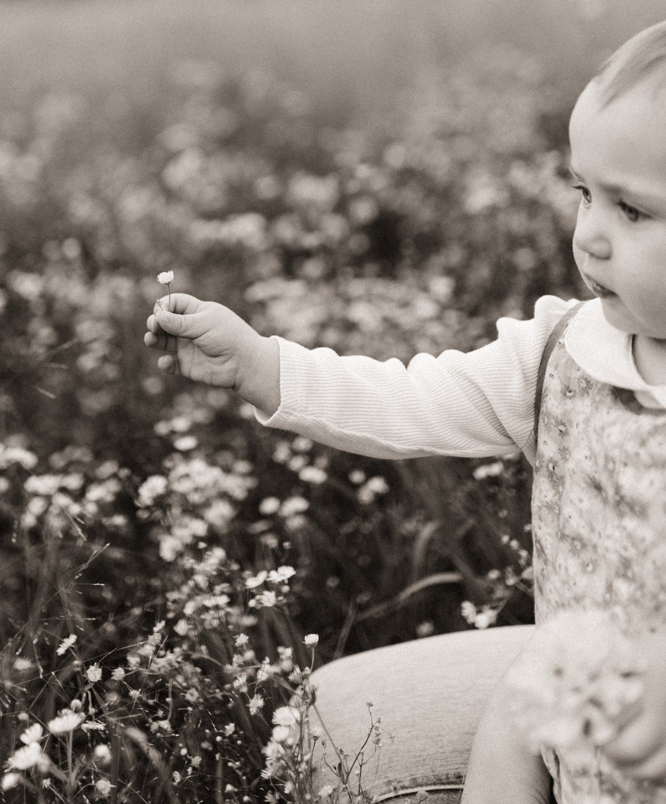 Image of FARM + FLORA LIL SESSIONS