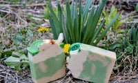 Image 1 of Swamp Turtle Beer Soap 