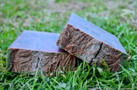 Image 2 of Vanilla Bean 