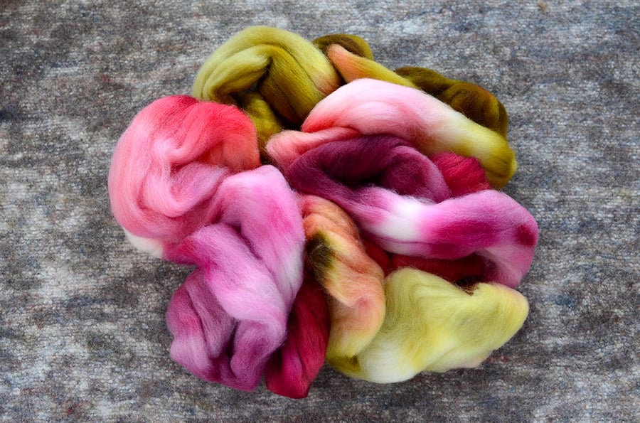 Image of "Garden Border" Hand-dyed Corriedale Spinning Fiber - 4 oz.