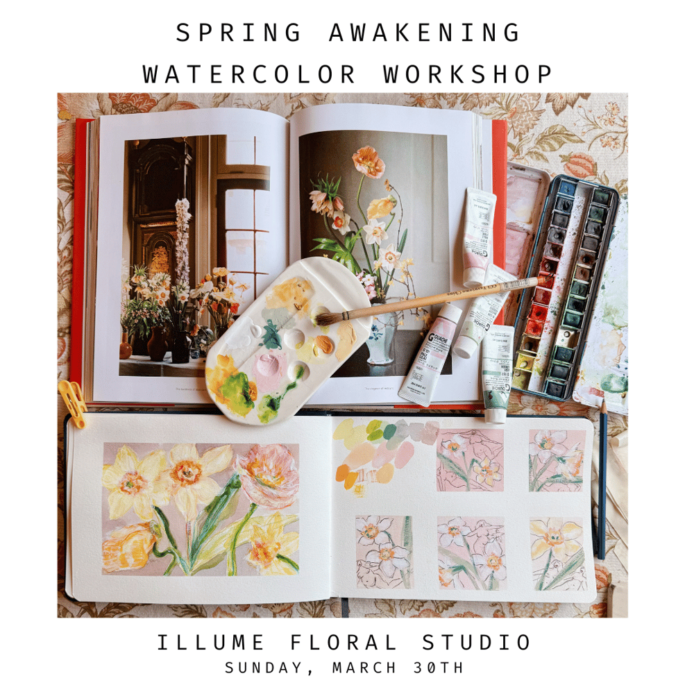 Image of Spring Awakening Watercolor Workshop @ Illume Floral Studio