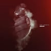 THE AMENTA - Revelator - 2Lp
