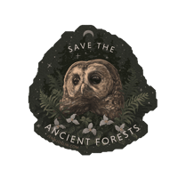 Image 1 of SAVE THE ANCIENT FORESTS Sticker