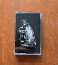 The Window Room Tape Physical