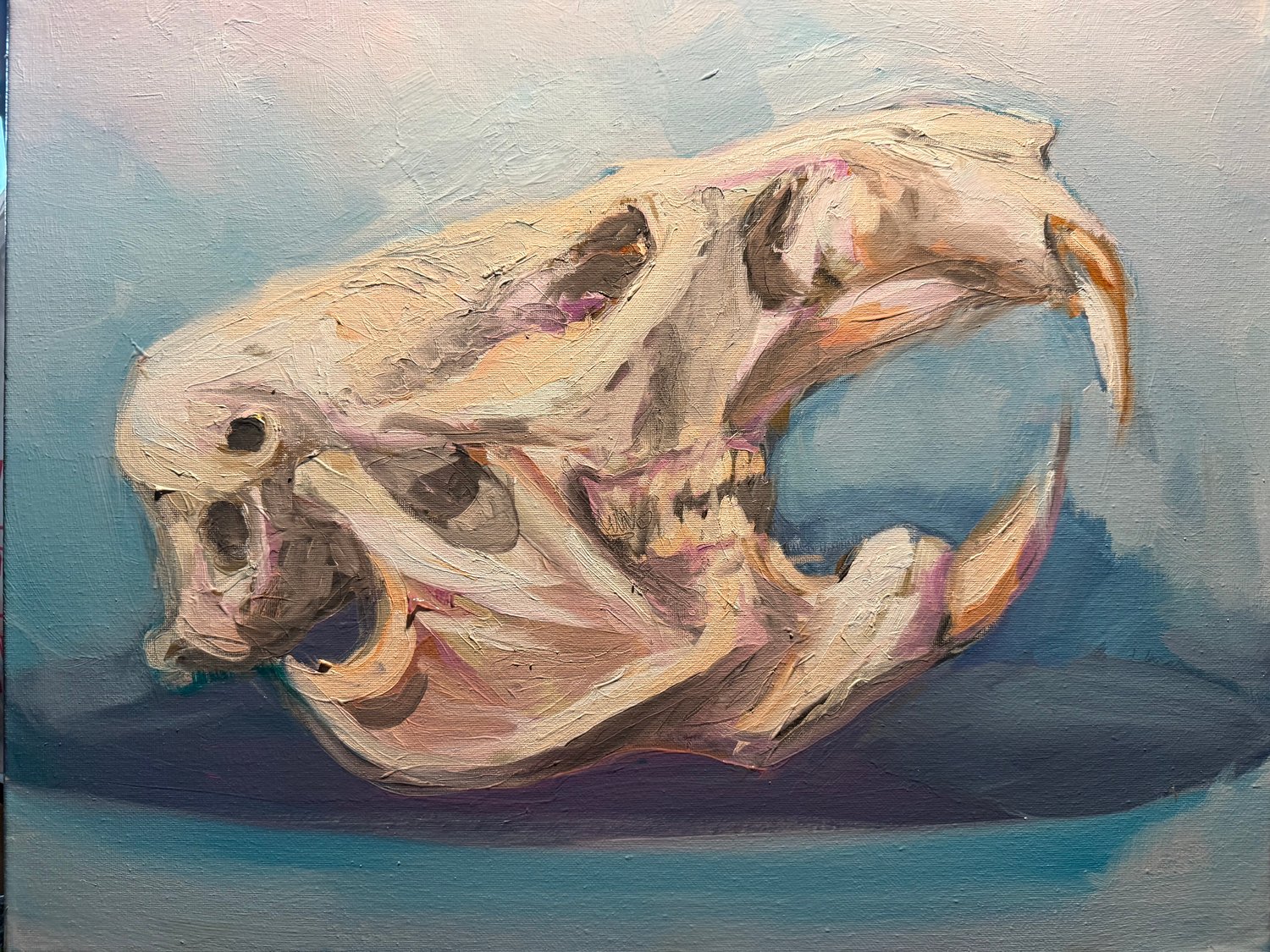 Painting - Muskrat skull 