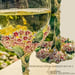 Image of Pink Petal Wine Glasses