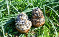 Image 1 of  Fudge Mocha Cupcakes 