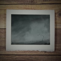 Image 1 of Unloved And Forgotten