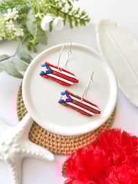 Flag Hoops 🇵🇷