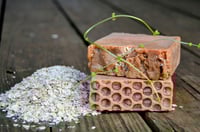 Image 1 of Minty Milk Honey & Oats       