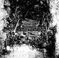 Image 1 of Ctenizidae ".​.​.Of Rotting Soil And Spine" MLP