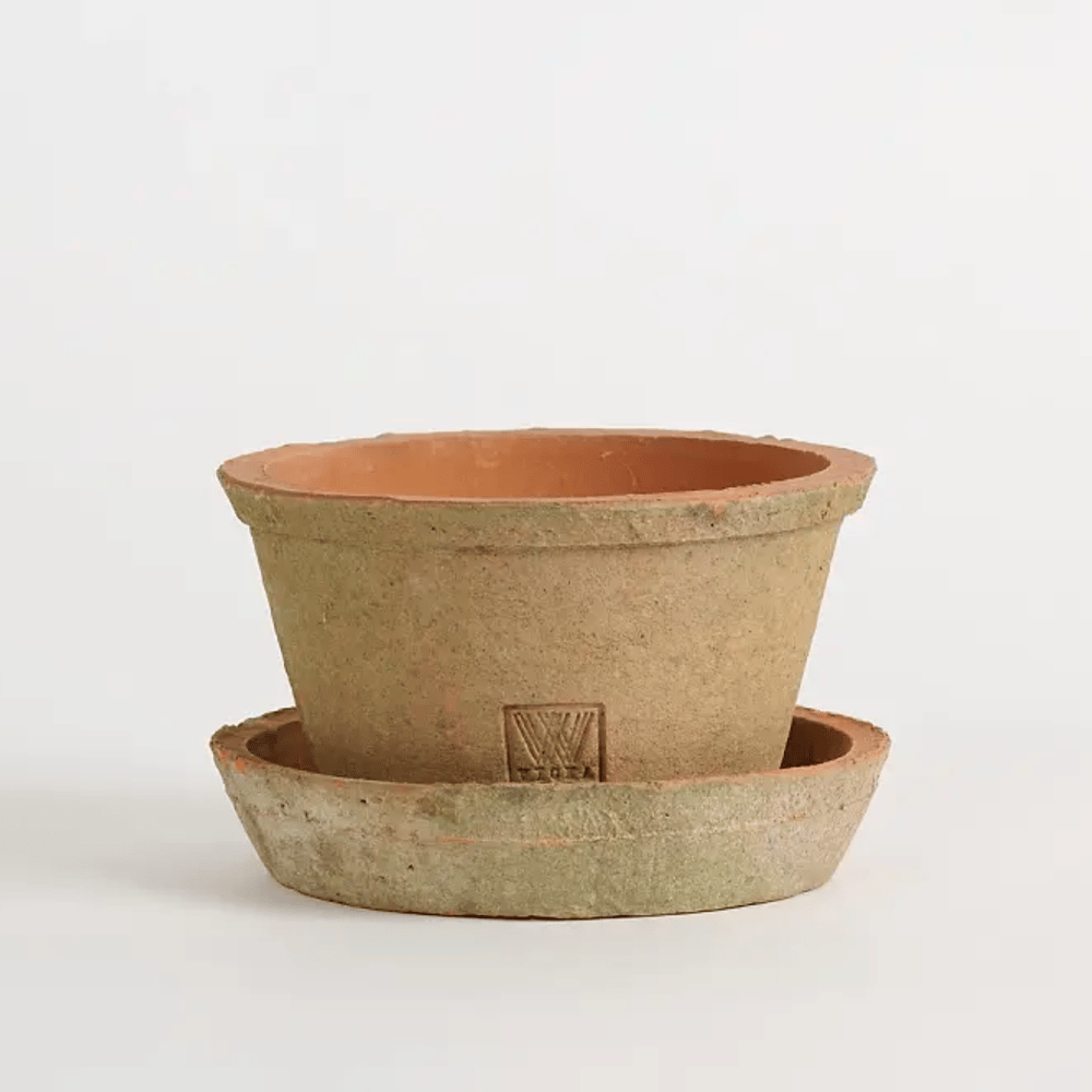 Image of Rim Terracotta Pot Redstone
