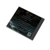 Image 3 of LOST SHORES CD