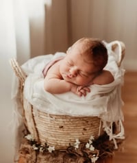Image 8 of Basket on SALE