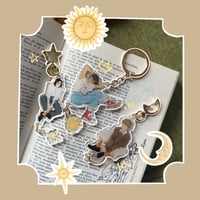 Marauders Charms