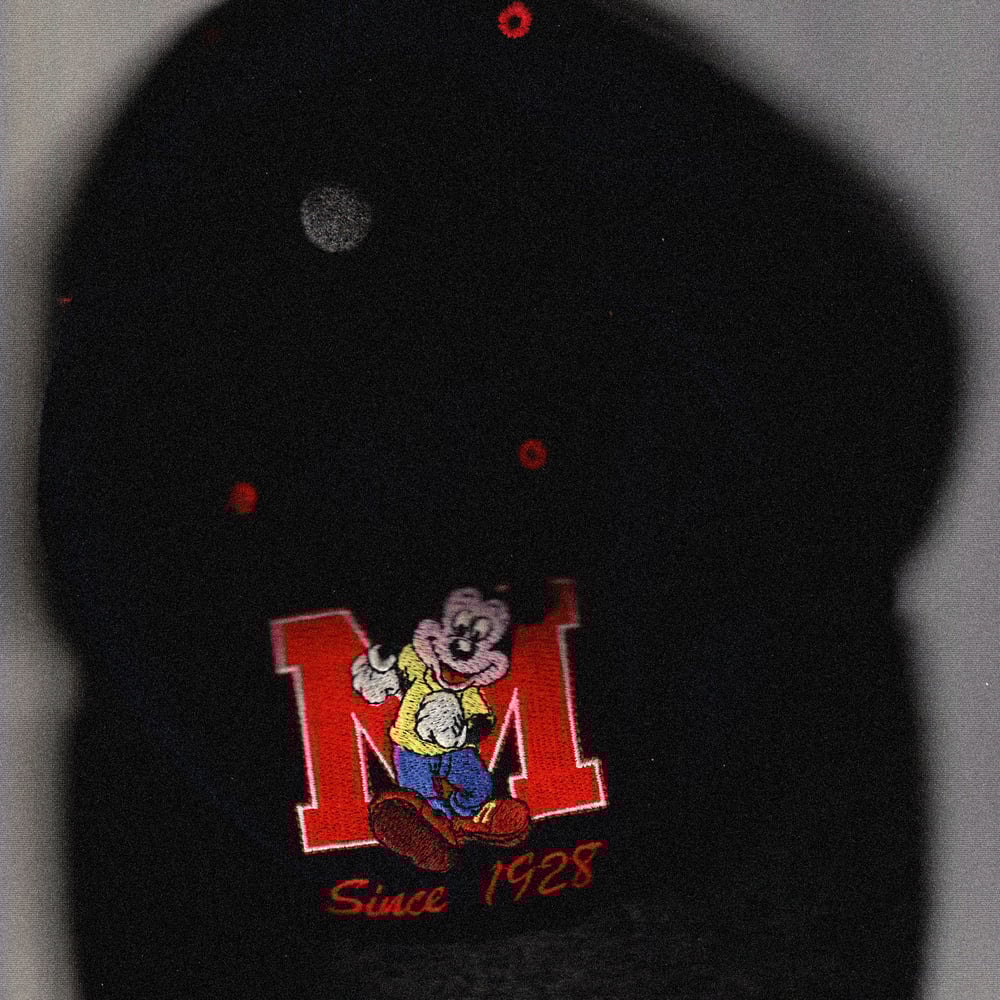 Image of [LOST & FOUND 001] DISNEYLAND PARIS®