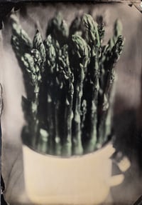 Asparagus in a Tin Cup One