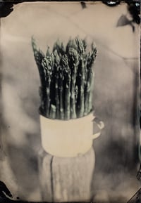 Asparagus in a Tin Cup Two