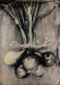 Onion Bundle