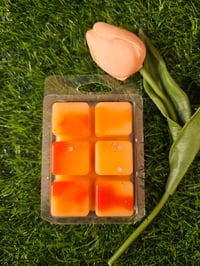 Image 7 of Peaches & Me Time - A Rockytop Wax Works exclusive custom houseblend fragrance 