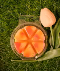 Image 13 of Peaches & Me Time - A Rockytop Wax Works exclusive custom houseblend fragrance 