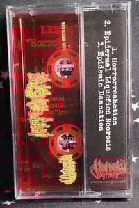 Image 2 of Leprovore - Horrorreahction - MC