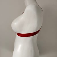 Image 3 of Eros Harness